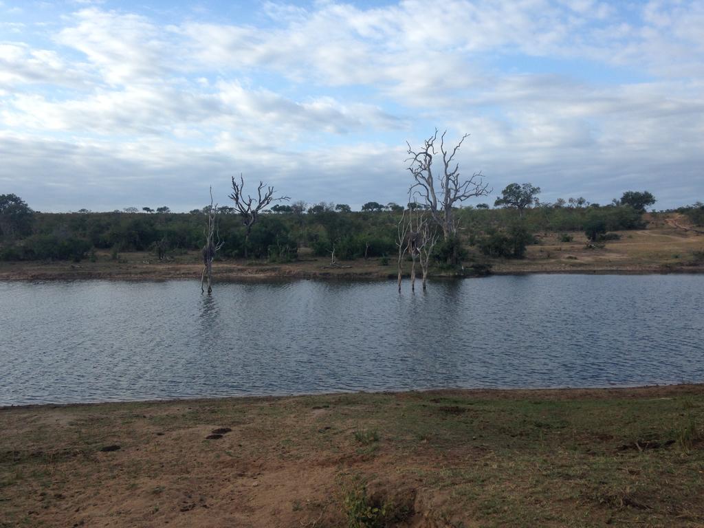 Sweni Lodge 91 Mjejane Kruger Park 赫克托斯普雷特 外观 照片